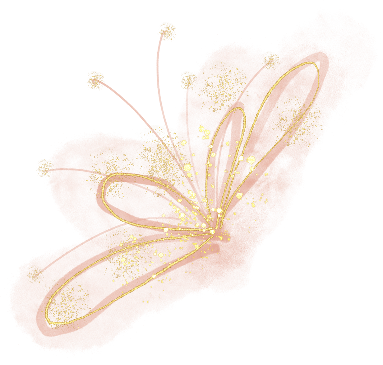 Light pink flower with gold lines